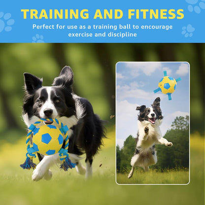 LOOBANI Interactive Dog Toy Football Fun Activity Durable Heart Chew Soccer Ball with Rope for Large Medium & Small Dogs Blue 2Pack